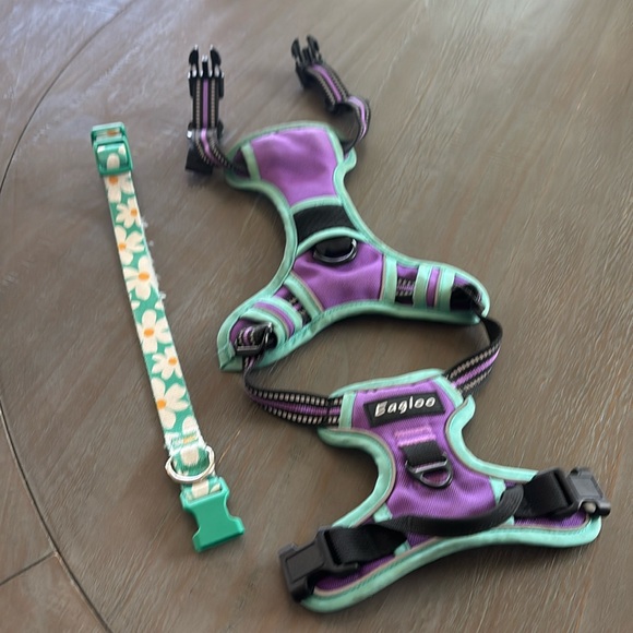 Size small dog harness and small collar - Picture 1 of 1